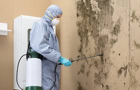 Best Environmental Consulting for Mold Prevention  in Westlake Vlage, IL